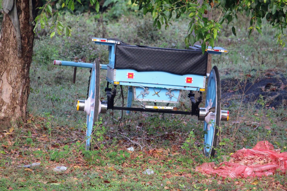 From Motion to Memory – Rural Transport in Pause